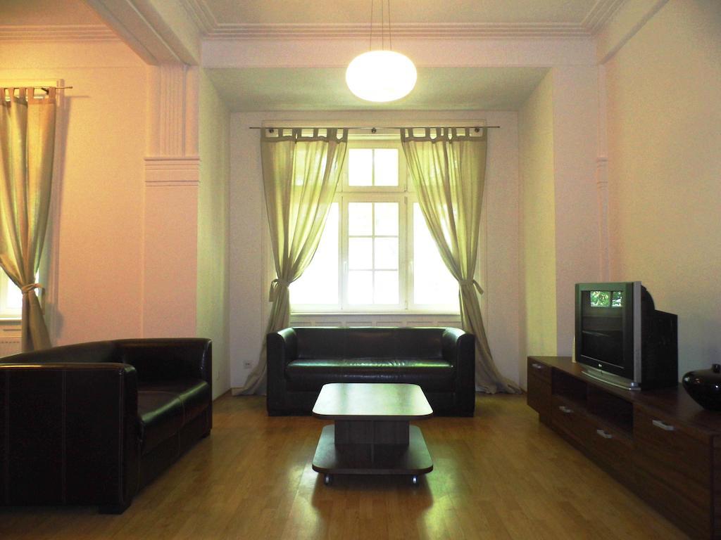 Lion Apartments Medena, Big Size, High Ceilings 브라티슬라바 객실 사진